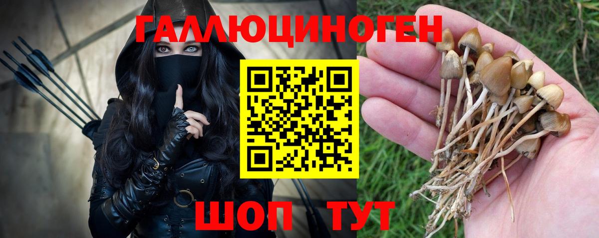 Губкин  Галлюциногенные грибы мицелий  Вход с VPN  Галлюциногенные грибы GOLDEN TEACHER 