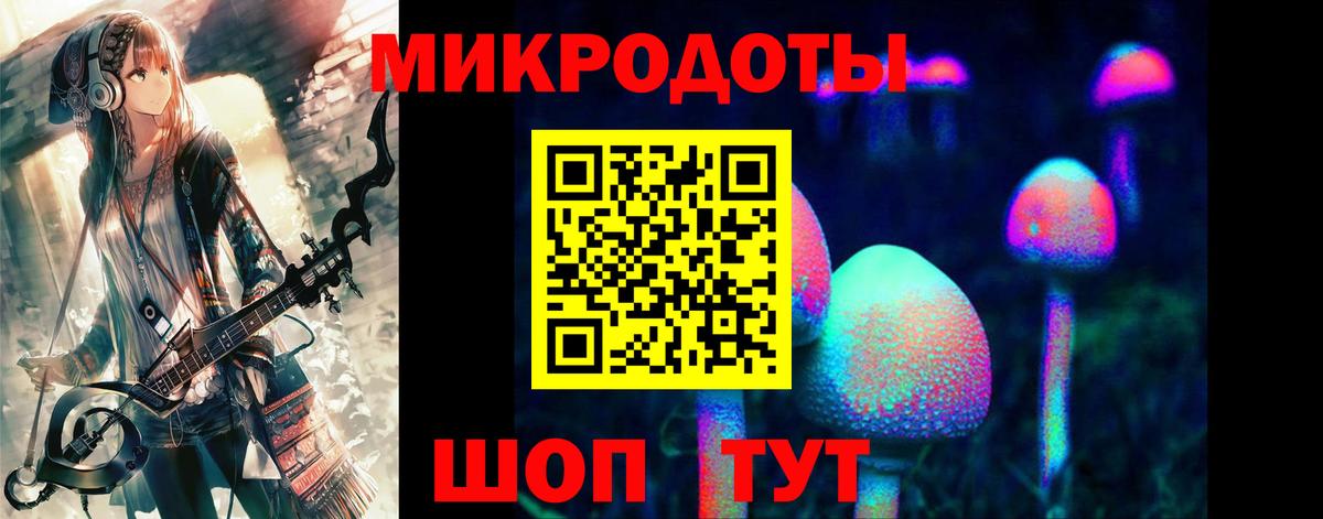 Псилоцибиновые грибы MAGIC MUSHROOMS Губкин